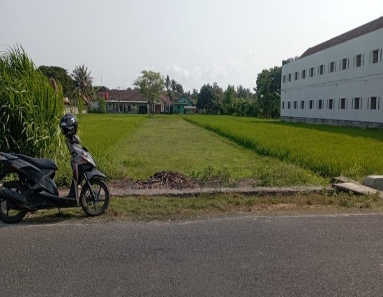 Lahan Sawah Dekat Pusat Kota