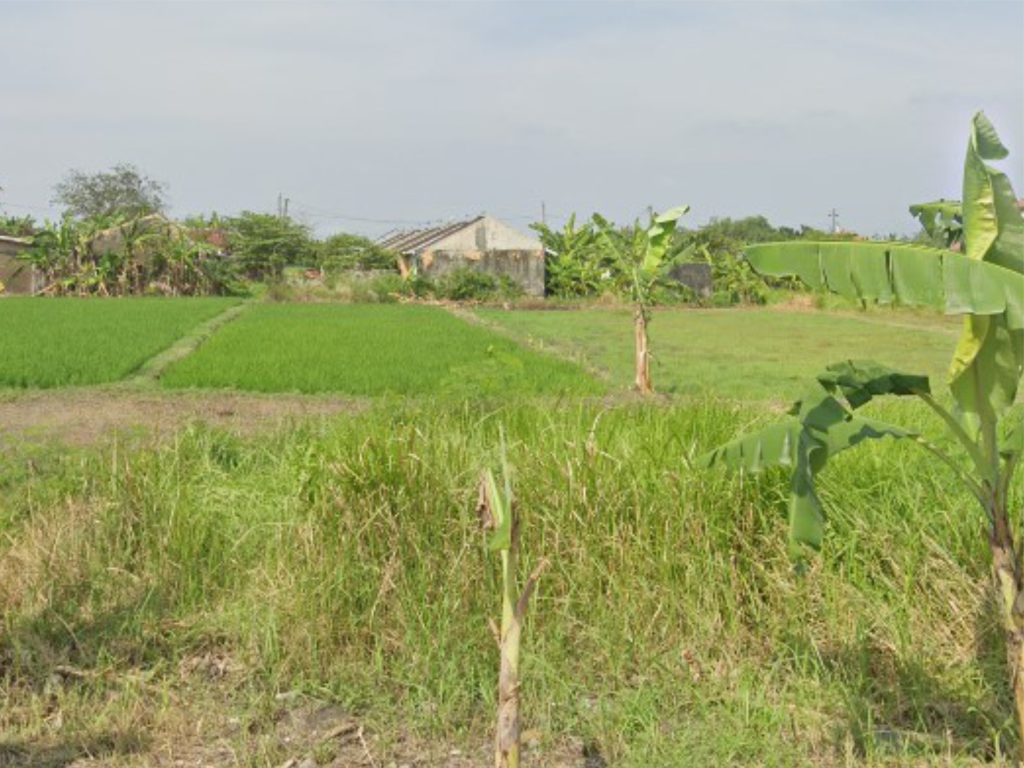 Tanah Kavling